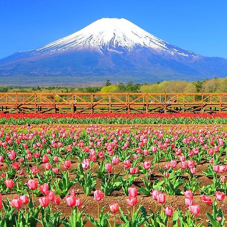 Hatago Sakuraya 山中湖村 外观 照片