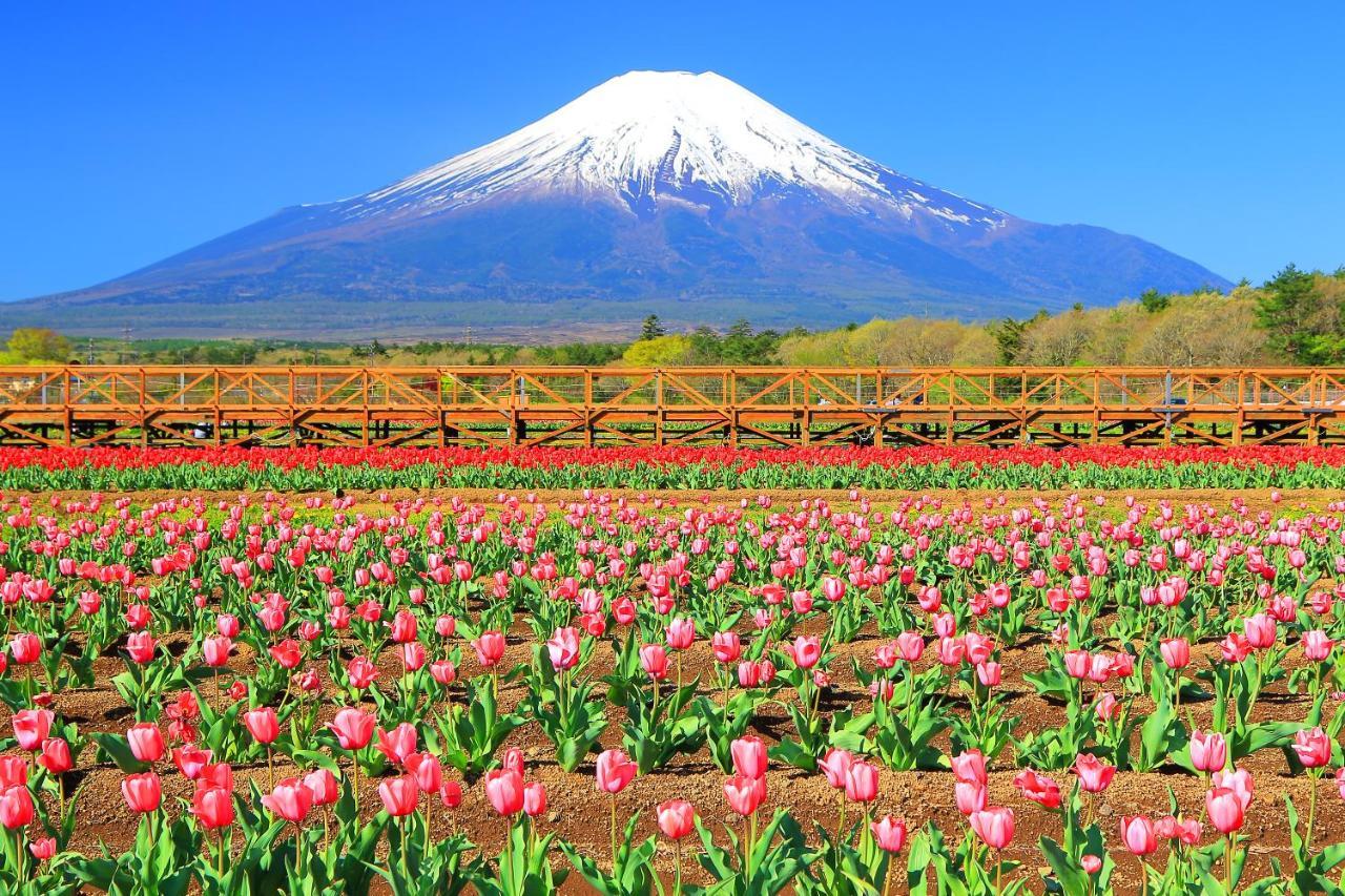 Hatago Sakuraya 山中湖村 外观 照片